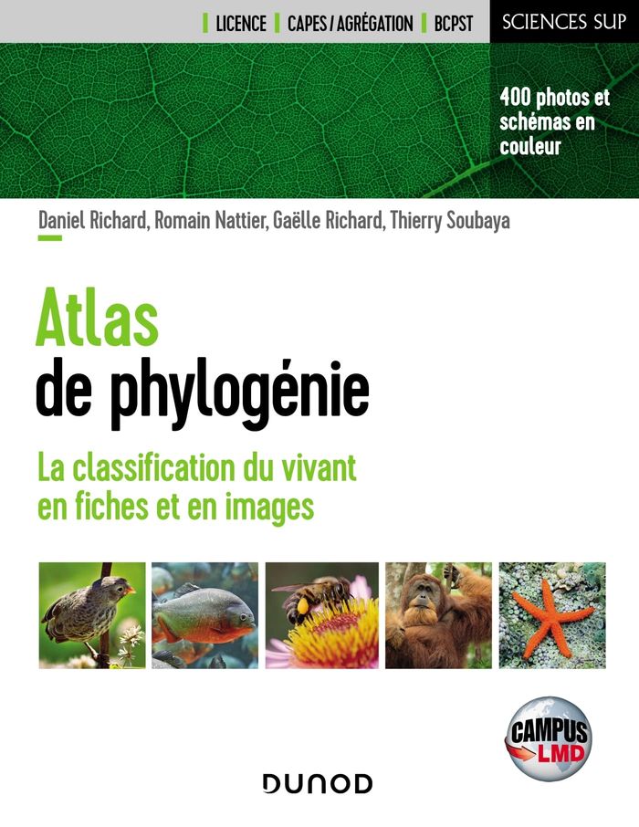 Couverture du livre « CAMPUS - ATLAS DE PHYLOGENIE - LA CLASSIFICATION DU VIVANT EN FICHES ET EN IMAGES », librairie Les Contes Infusés à Corte