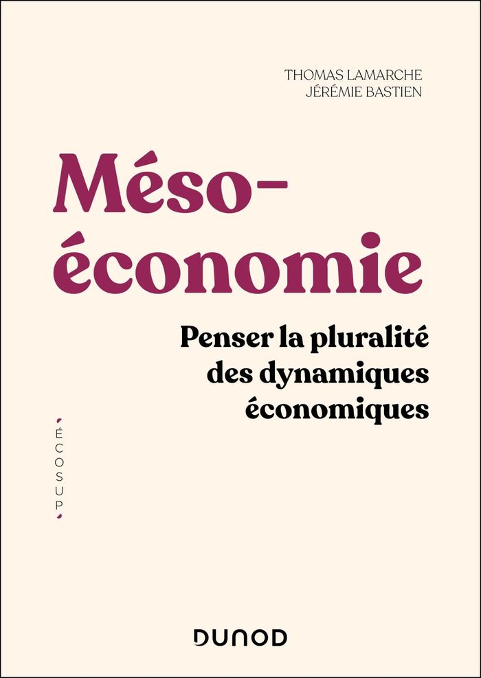 Couverture du livre « Mésoéconomie : penser la pluralité des dynamiques économiques » de Thomas Lamarche, librairie Les Contes Infusés à Corte