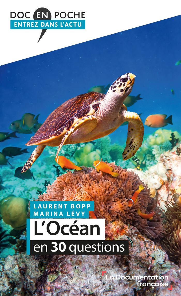 Couverture du livre « L'océan en 30 questions » de Marina Lévy, librairie Les Contes Infusés à Corte
