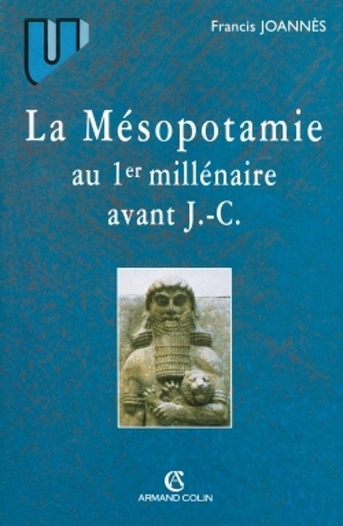 Couverture du livre « LA MESOPOTAMIE AU 1ER MILLENAIRE AVANT J.-C. » de Francis Joannes, librairie Les Contes Infusés à Corte