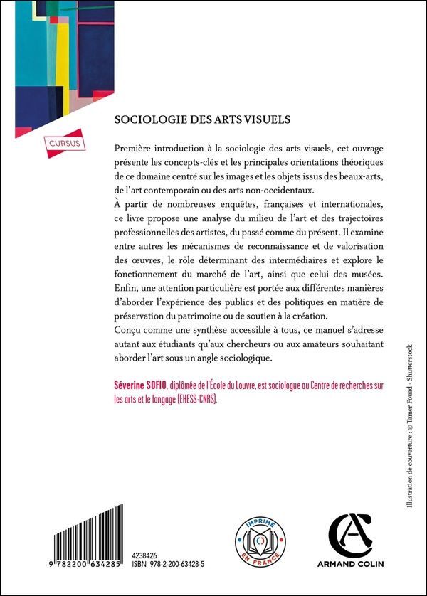 Quatrième de couverture de « Sociologie des arts visuels »