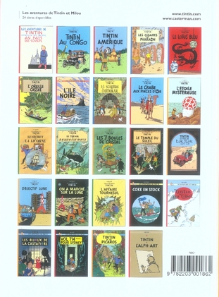 Quatrième de couverture de « L'étoile mystérieuse »