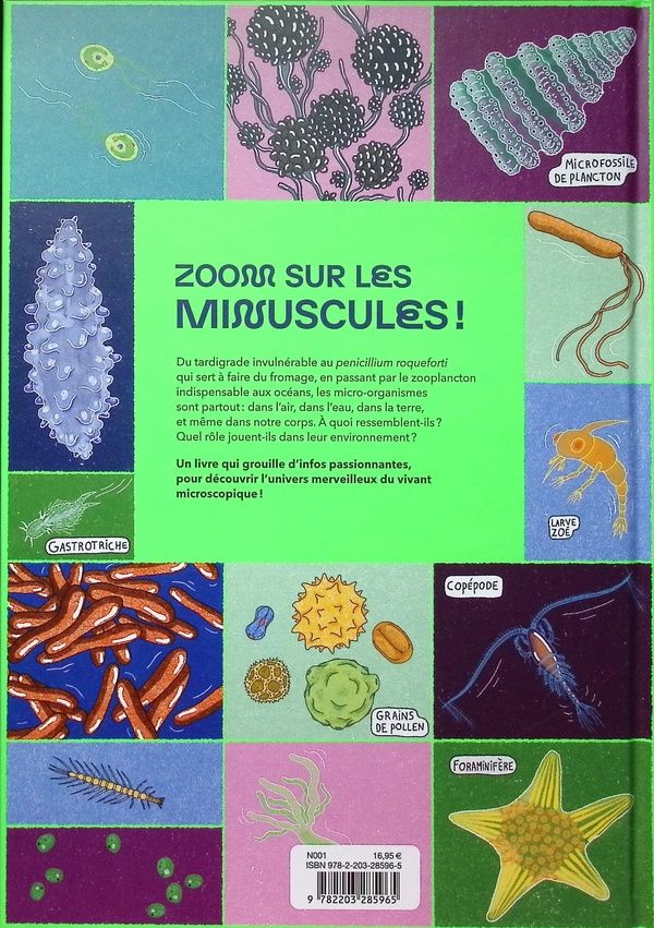 Quatrième de couverture de « Minuscules ! : le merveilleux univers de la vie microscopique »