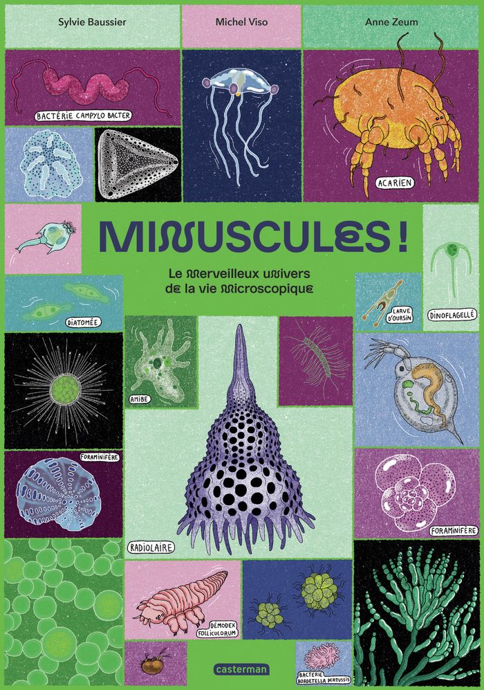 Couverture du livre « Minuscules ! : le merveilleux univers de la vie microscopique » de Michel Viso, librairie Les Contes Infusés à Corte
