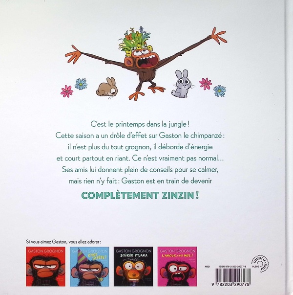 Quatrième de couverture de « Complètement zinzin »