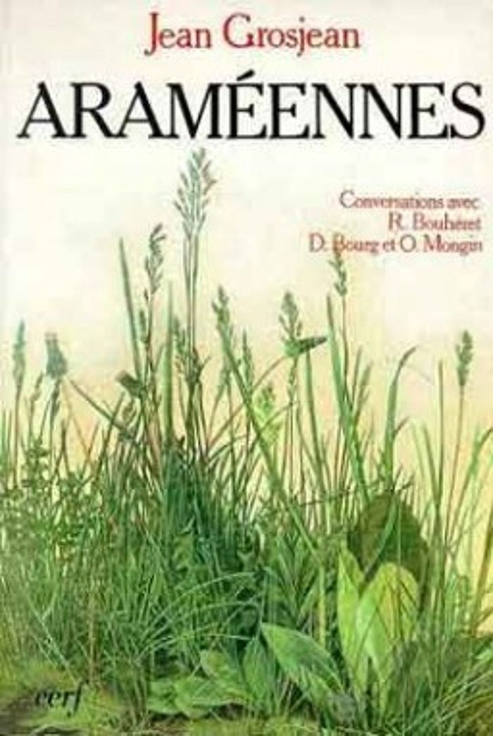 Couverture du livre « ARAMEENNES » de Stanislas Breton, librairie Les Contes Infusés à Corte