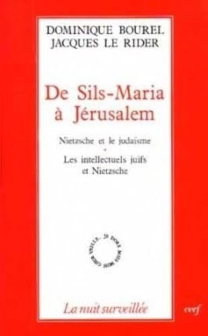 Couverture du livre « DE SILS-MARIA A JERUSALEM » de Dominique Bourel, librairie Les Contes Infusés à Corte