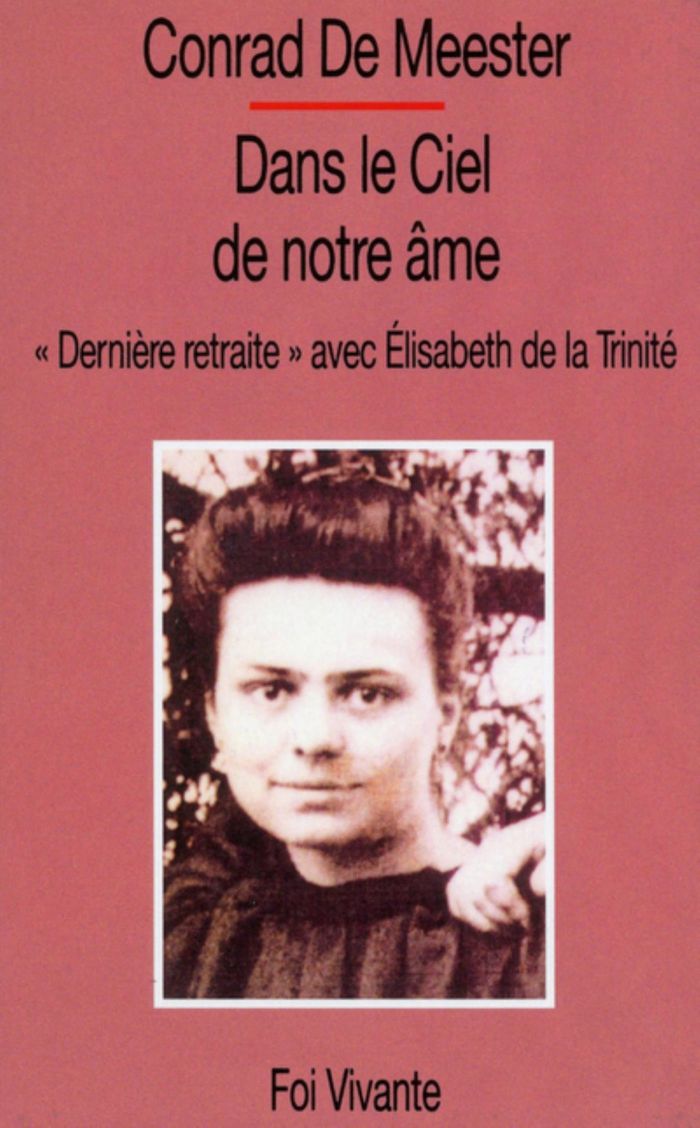 Couverture du livre « DANS LE CIEL DE NOTRE AME » de De Meester Conrad, librairie Les Contes Infusés à Corte