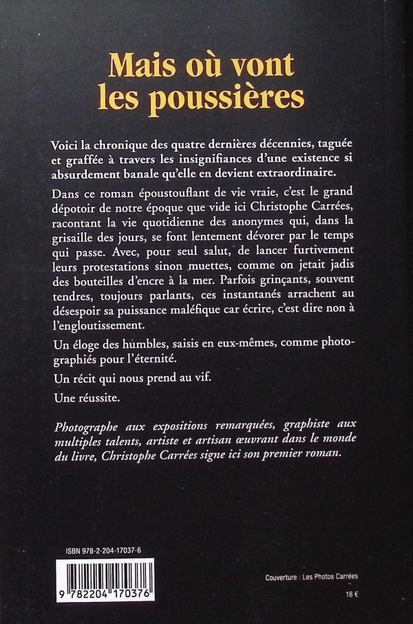 Quatrième de couverture de « Mais où vont les poussières : roman »