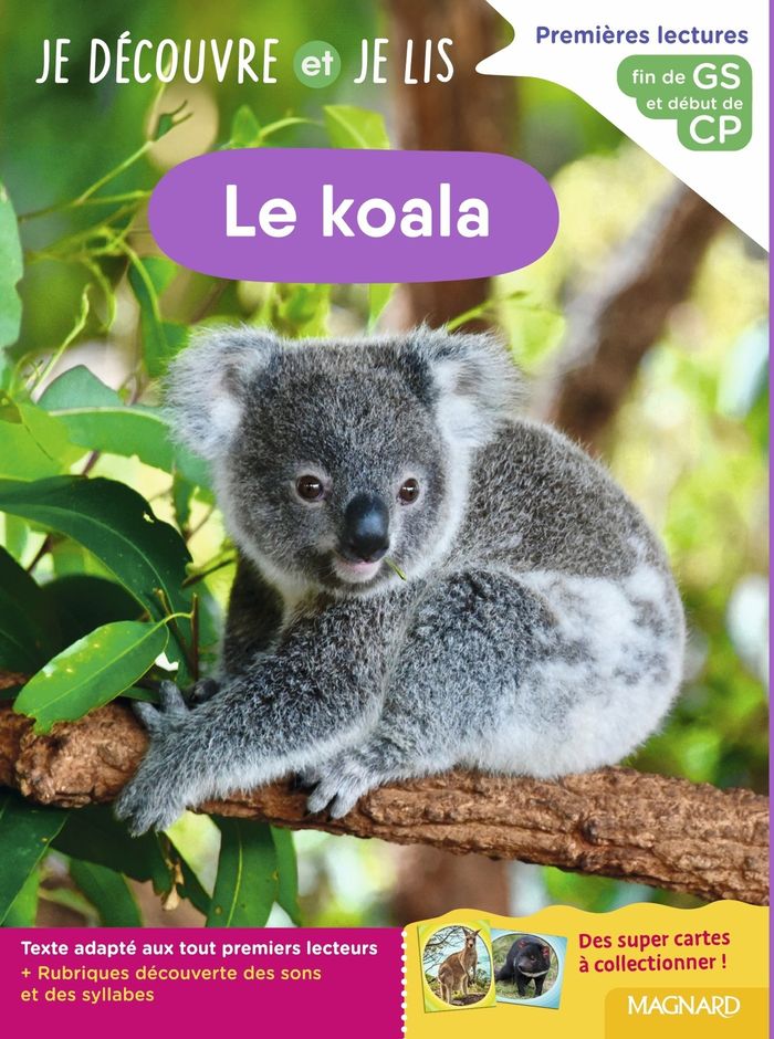 Couverture du livre « Le koala », librairie Les Contes Infusés à Corte