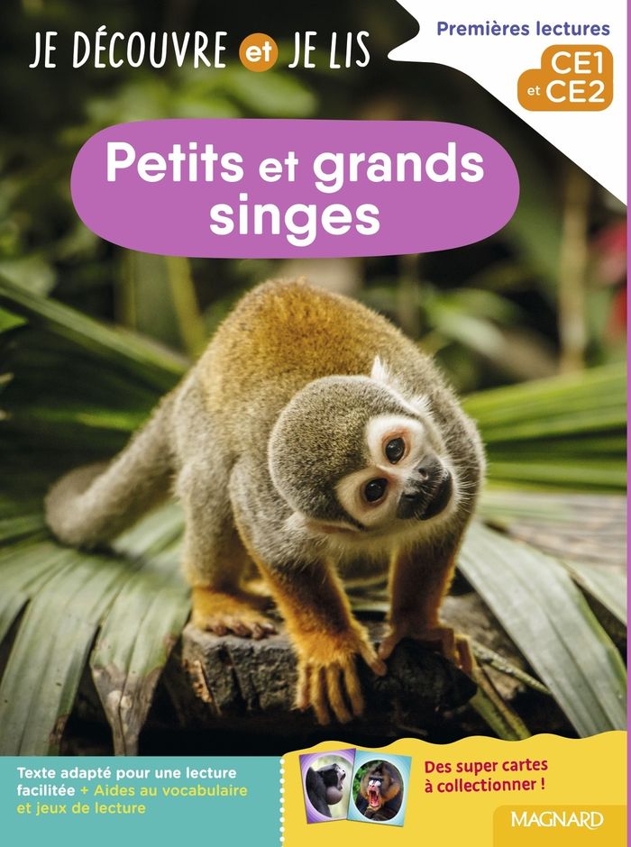 Couverture du livre « Petits et grands singes » de Sylvie Barbier-Tabouret, librairie Les Contes Infusés à Corte