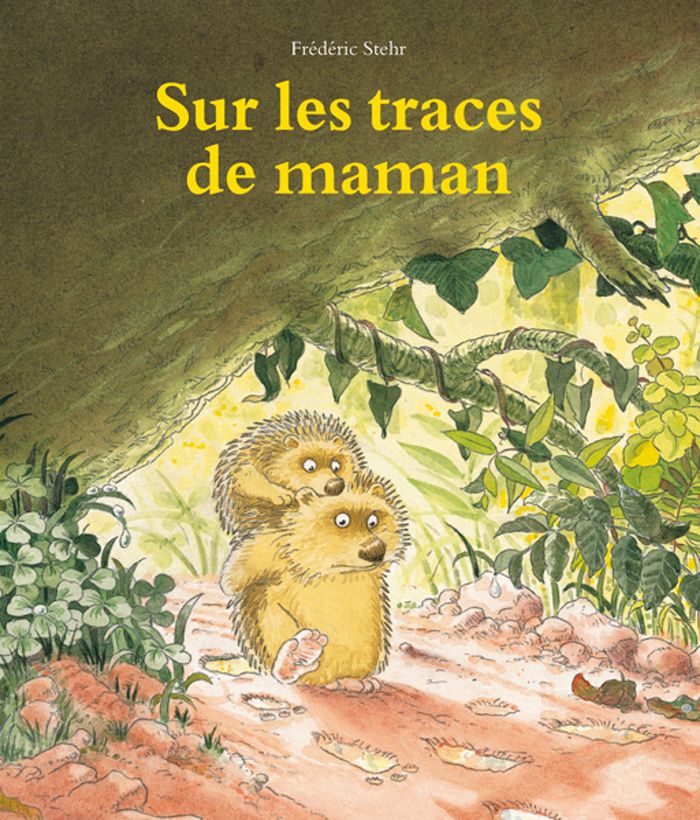 Couverture du livre « SUR LES TRACES DE MAMAN » de Frederic Stehr, librairie Les Contes Infusés à Corte