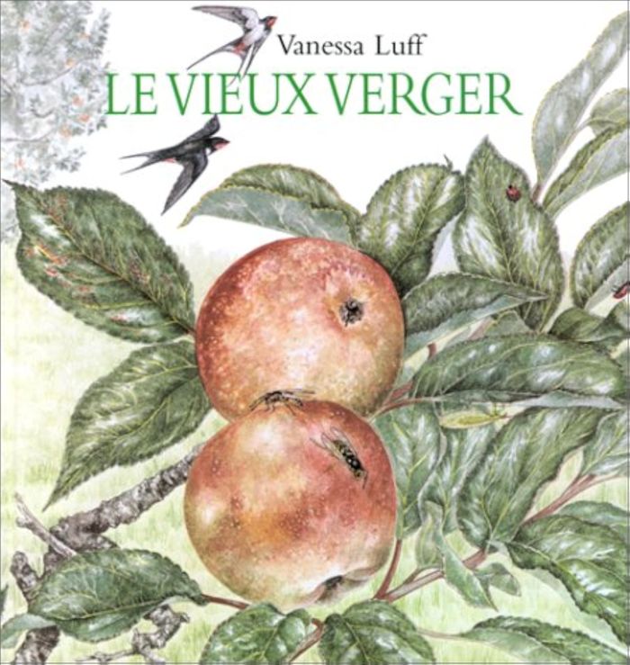 Couverture du livre « VIEUX VERGER (LE) », librairie Les Contes Infusés à Corte