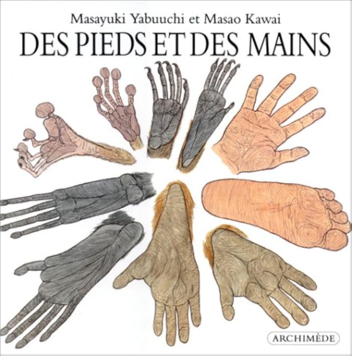 Couverture du livre « PIEDS ET DES MAINS (DES) » de Masayuki Yabuuchi, librairie Les Contes Infusés à Corte
