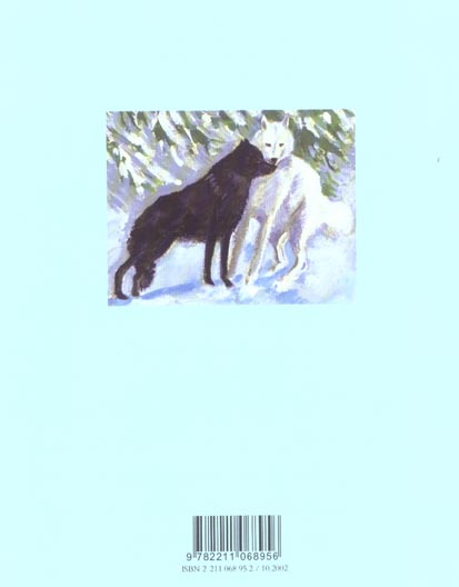 Quatrième de couverture de « NEIGE »
