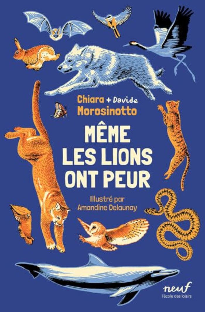 Couverture du livre « Même les lions ont peur » de Chiara Morosinotto, librairie Les Contes Infusés à Corte
