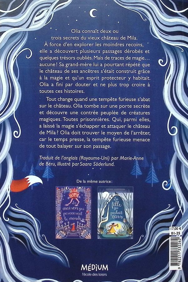 Quatrième de couverture de « Le château de la magie interdite »
