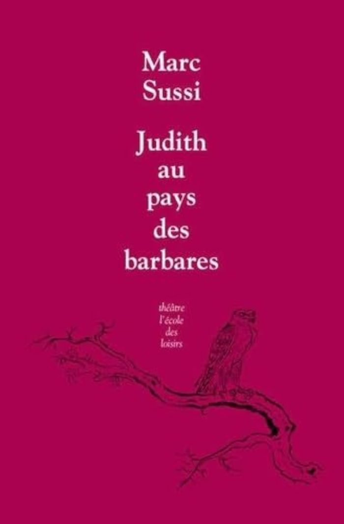 Couverture du livre « Judith au pays des barbares », librairie Les Contes Infusés à Corte