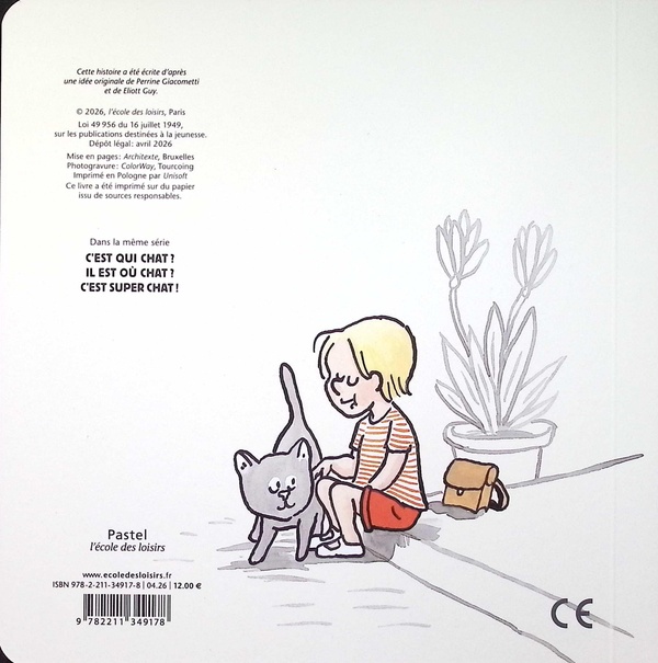 Quatrième de couverture de « A pas de canard »