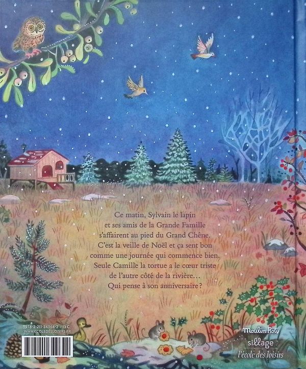 Quatrième de couverture de « Le Noël de la grande famille »