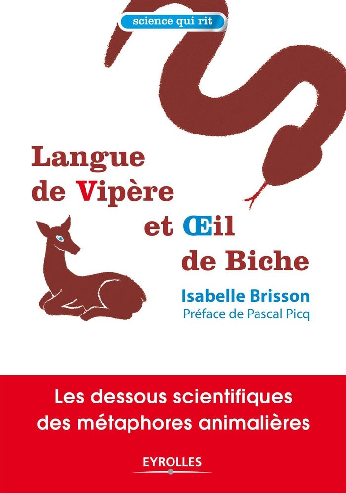 Couverture du livre « LANGUE DE VIPERE ET OEIL DE BICHE - LES DESSOUS SCIENTIFIQUES DES METHAPHORES ANIMALIERES » de Isabelle Brisson, librairie Les Contes Infusés à Corte
