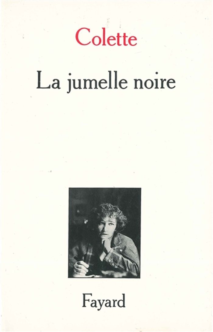Couverture du livre « LA JUMELLE NOIRE », librairie Les Contes Infusés à Corte