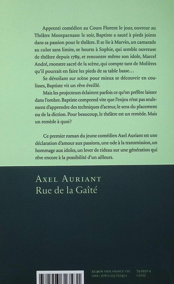 Quatrième de couverture de « Rue de la Gaîté : roman »