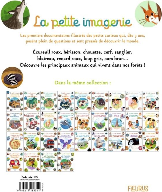 Quatrième de couverture de « Les animaux de la forêt »