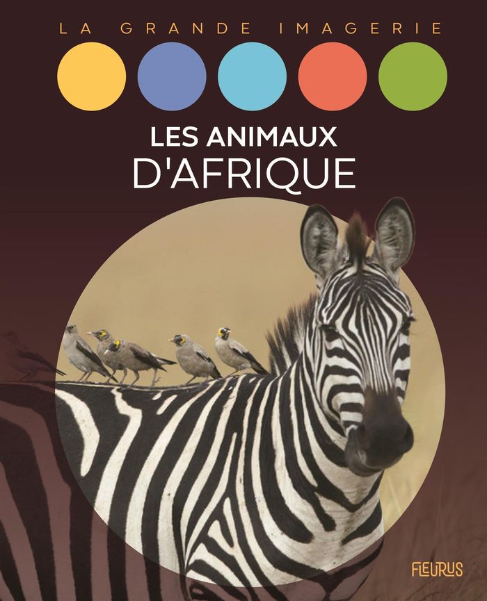 Couverture du livre « Les animaux d'Afrique » de Sabine Boccador, librairie Les Contes Infusés à Corte