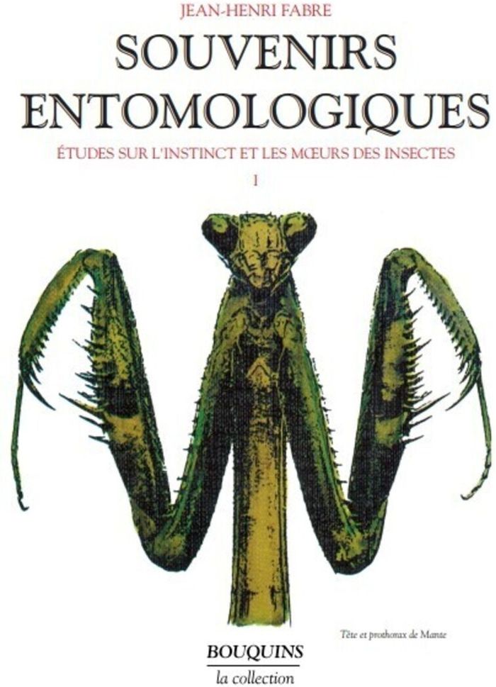Couverture du livre « SOUVENIRS ENTOMOLOGIQUES - TOME 1 - VOL01 » de Fabre/delange, librairie Les Contes Infusés à Corte