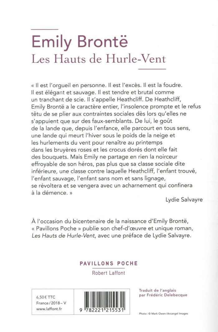 Quatrième de couverture de « Les Hauts de Hurle-Vent »