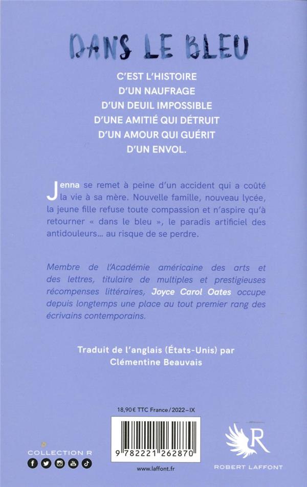 Quatrième de couverture de « Dans le bleu : roman »