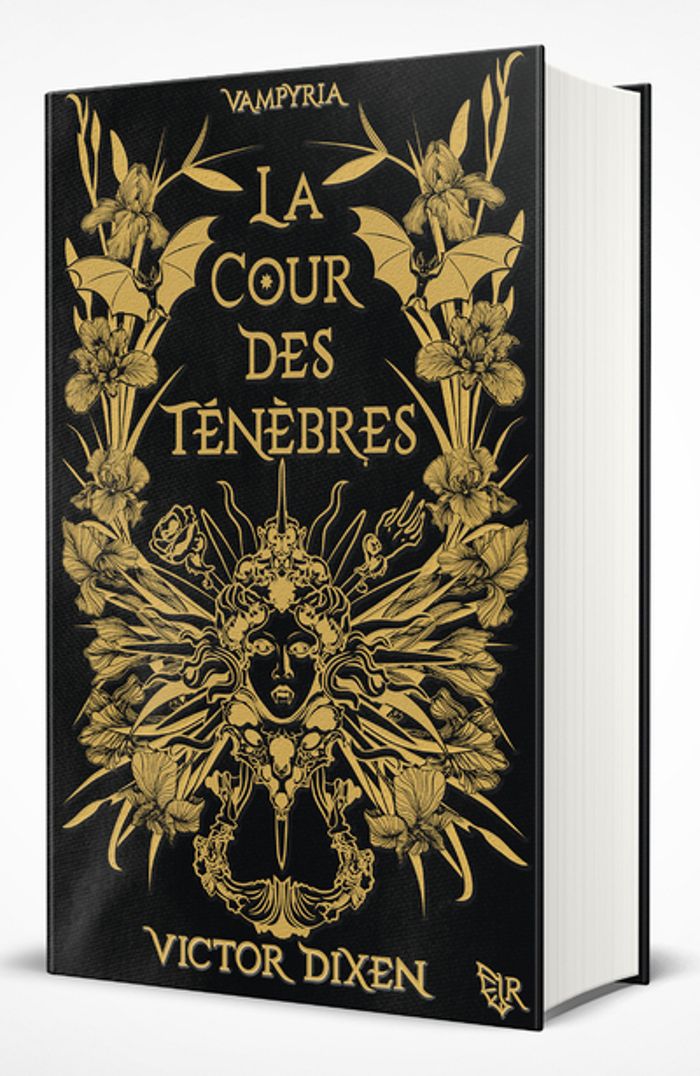 Couverture du livre « La cour des ténèbres » de Victor Dixen, librairie Les Contes Infusés à Corte