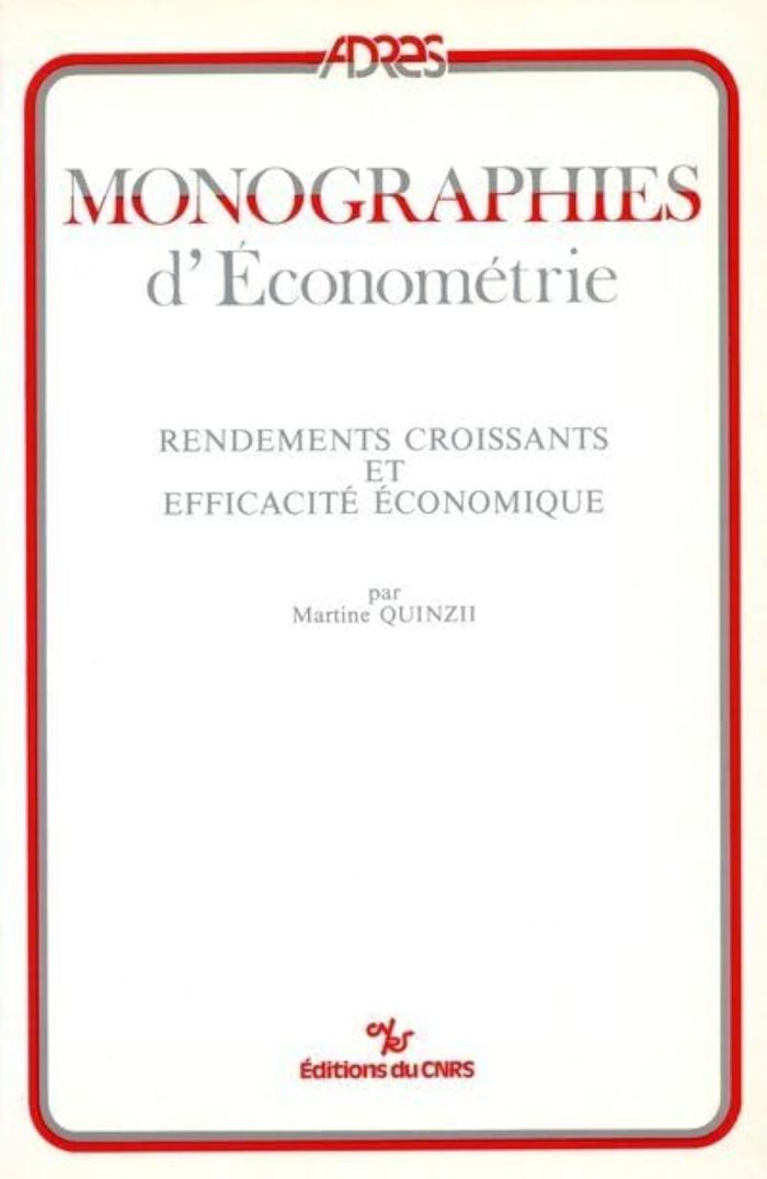 Couverture du livre « RENDEMENTS CROISSANTS ET EFFICACITE ECONOMIQUE » de Collectif, librairie Les Contes Infusés à Corte