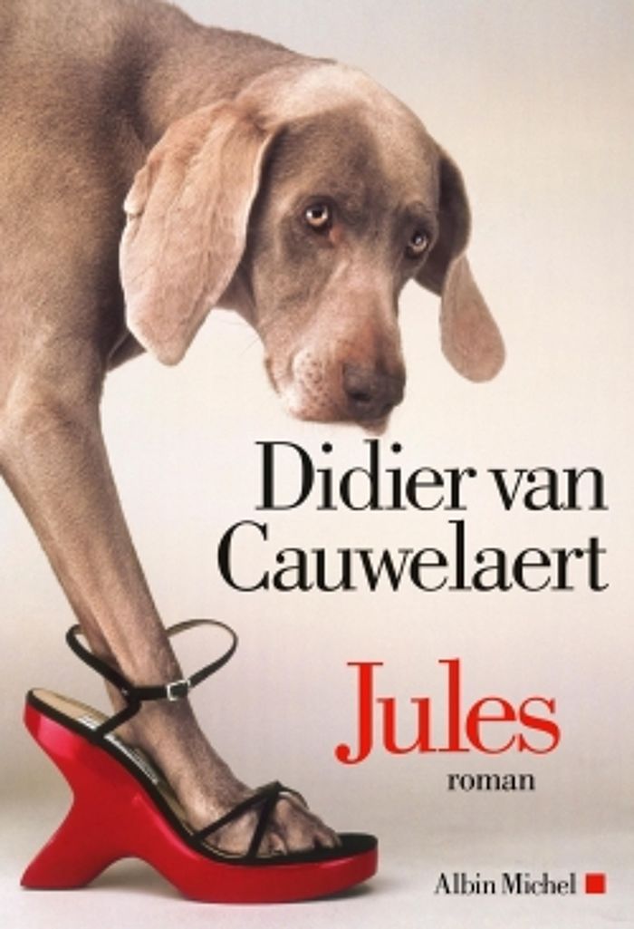 Couverture du livre « Jules : roman » de Didier Van Cauwelaert, librairie Les Contes Infusés à Corte