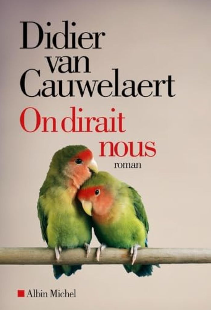 Couverture du livre « On dirait nous : roman » de Didier Van Cauwelaert, librairie Les Contes Infusés à Corte
