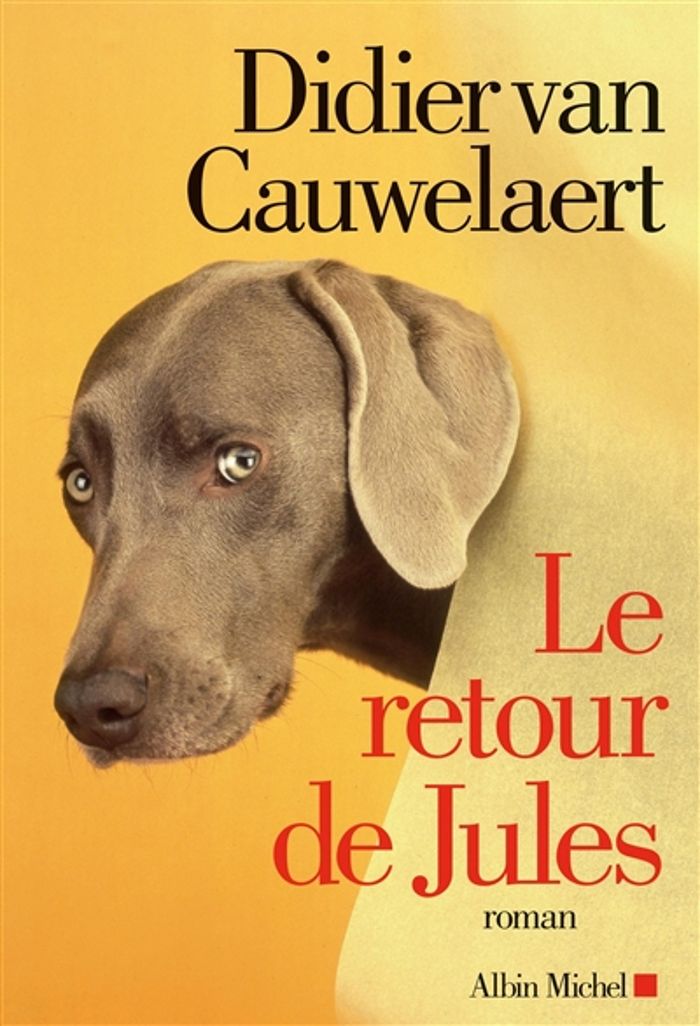 Couverture du livre « Le retour de Jules : roman » de Didier Van Cauwelaert, librairie Les Contes Infusés à Corte