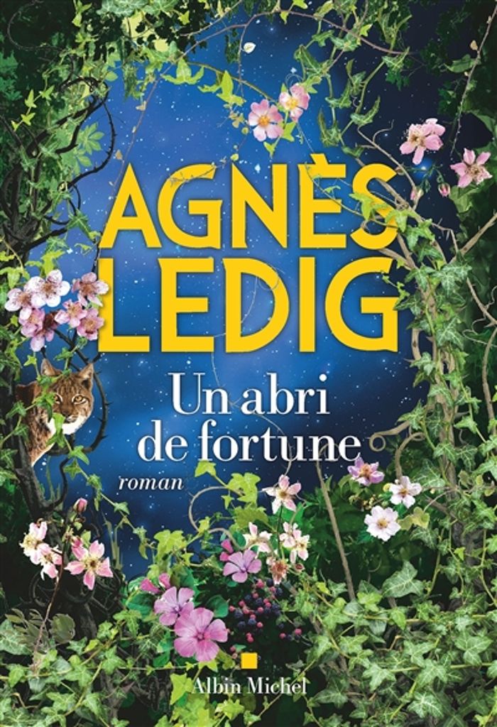 Couverture du livre « Un abri de fortune : roman » de Agnès Ledig, librairie Les Contes Infusés à Corte