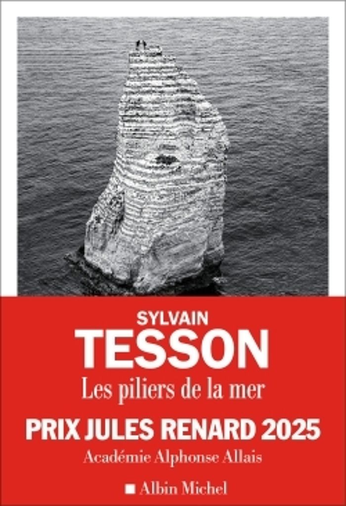 Couverture du livre « LES PILIERS DE LA MER » de Sylvain Tesson, librairie Les Contes Infusés à Corte