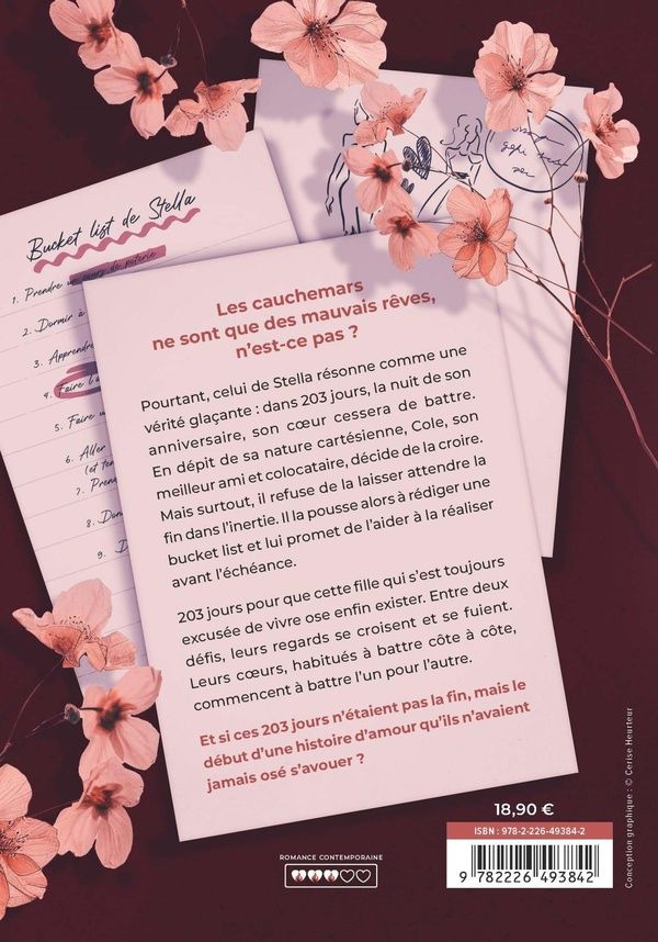 Quatrième de couverture de « JAMAIS 203 »