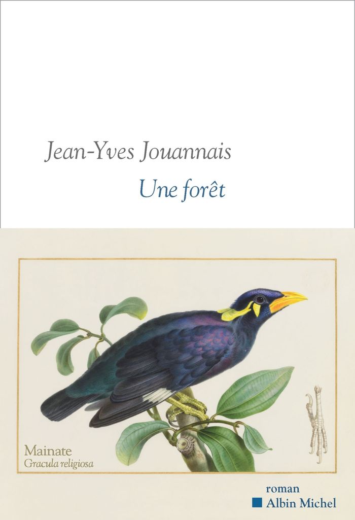 Couverture du livre « Une forêt » de Jean-Yves Jouannais, librairie Les Contes Infusés à Corte