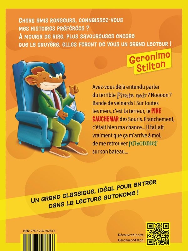 Quatrième de couverture de « Le galion des chats pirates »