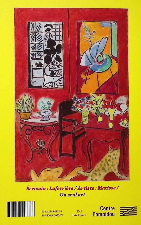 Quatrième de couverture de « Grand intérieur rouge : cinéroman »