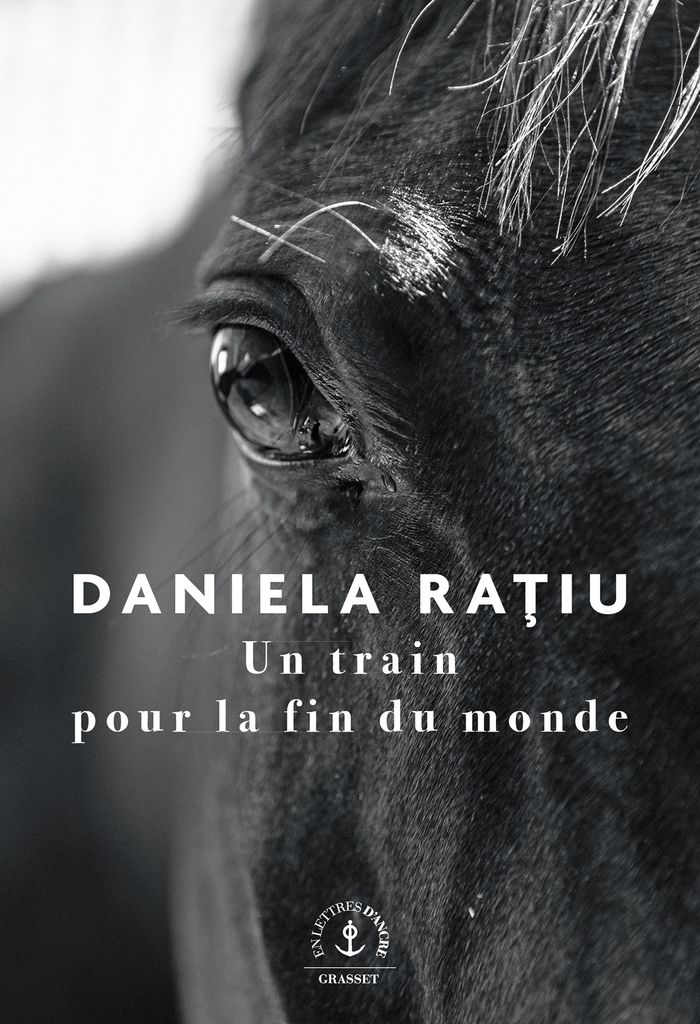 Couverture du livre « Un train pour la fin du monde : roman » de Daniela Raţiu, librairie Les Contes Infusés à Corte