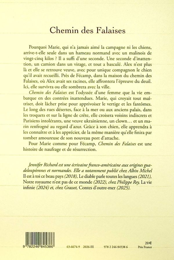 Quatrième de couverture de « Chemin des falaises : roman »