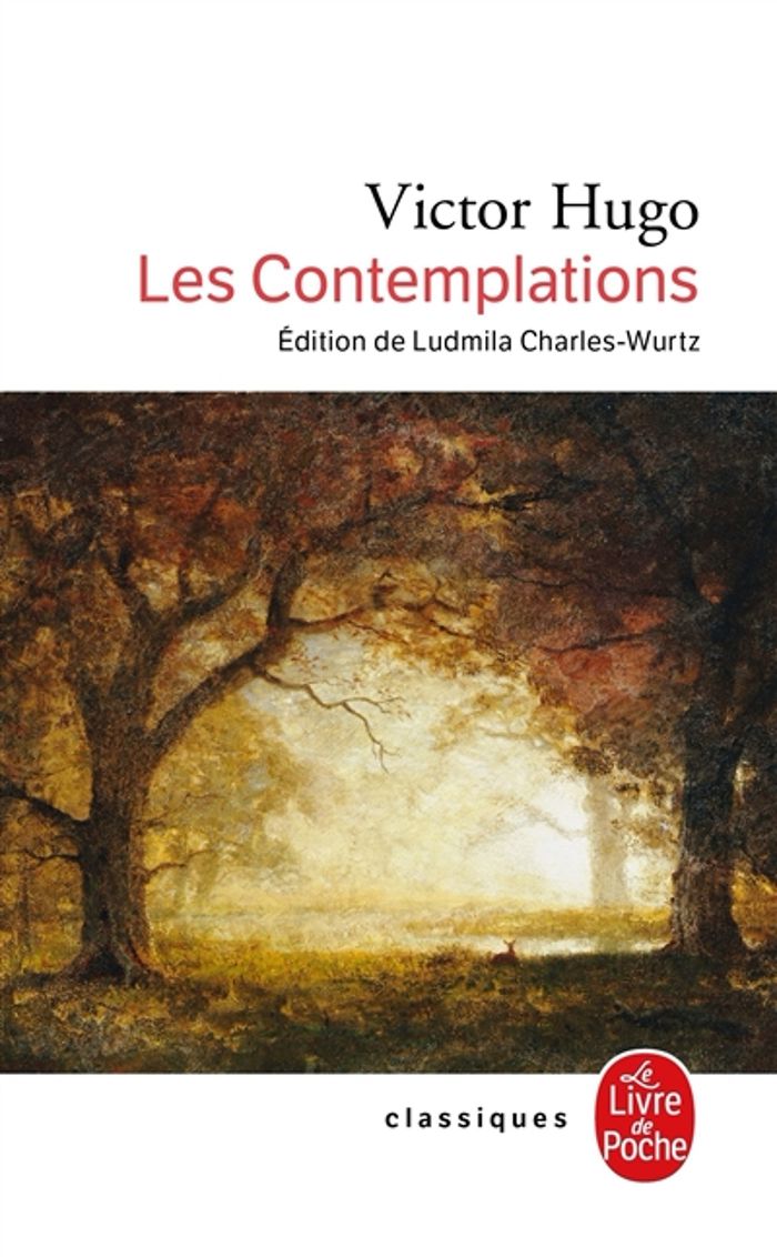 Couverture du livre « LES CONTEMPLATIONS », librairie Les Contes Infusés à Corte