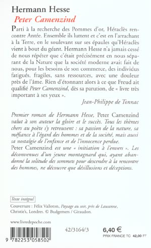 Quatrième de couverture de « PETER CAMENZIND »
