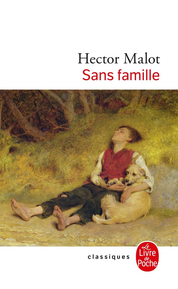 Couverture du livre « SANS FAMILLE » de Hector Malot, librairie Les Contes Infusés à Corte