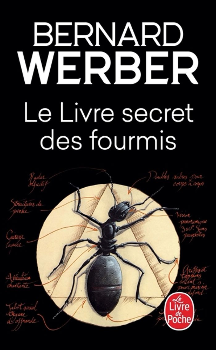 Couverture du livre « LE LIVRE SECRET DES FOURMIS » de Bernard Werber, librairie Les Contes Infusés à Corte