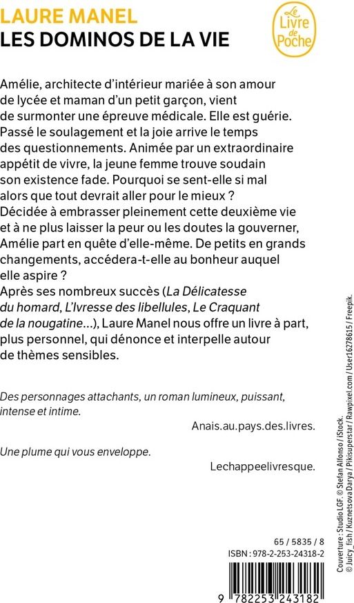 Quatrième de couverture de « Les dominos de la vie »